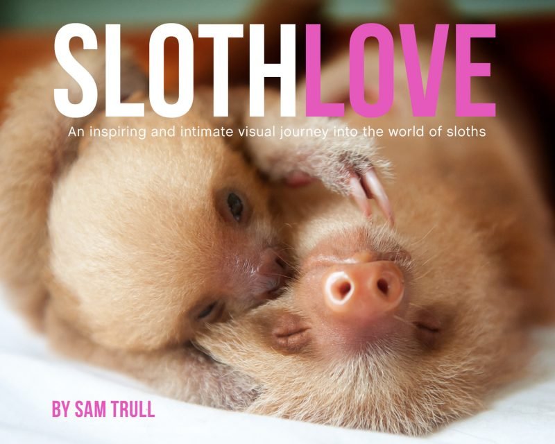 sloths